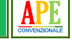 Logo APE conv110