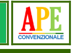 Logo APE conv110